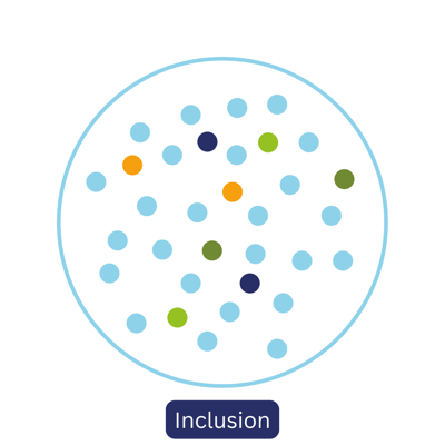 Inclusion